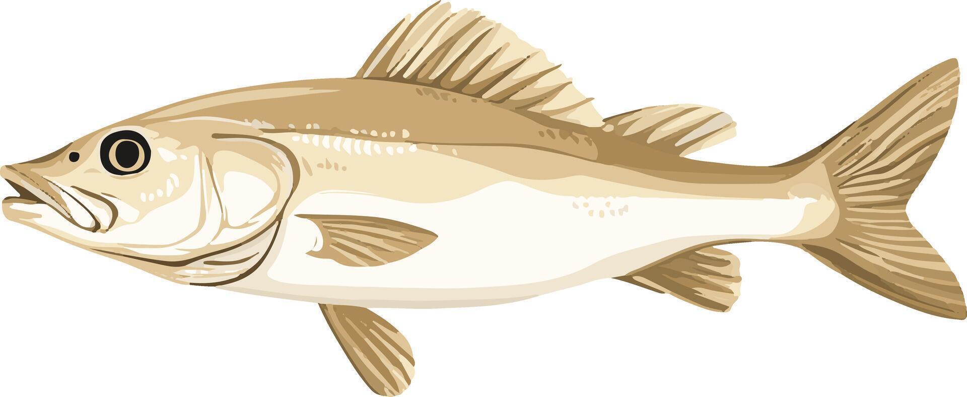 adorable cute simple cod clipart vector