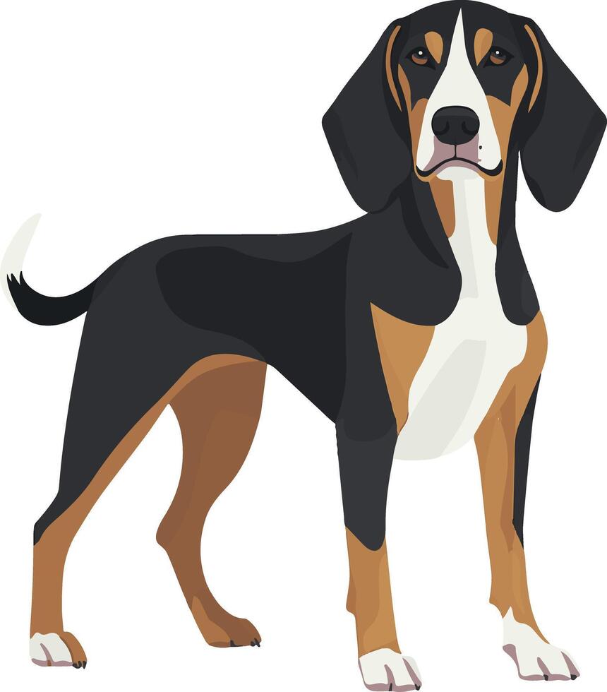 cute simple Coonhound clipart vector