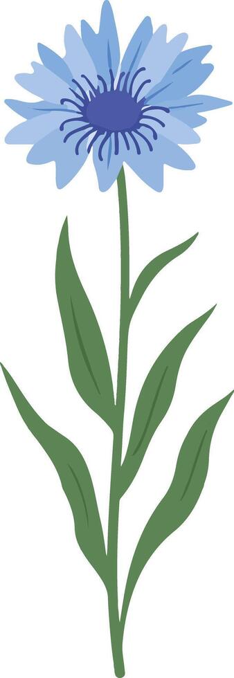 cute simple cornflower clipart vector
