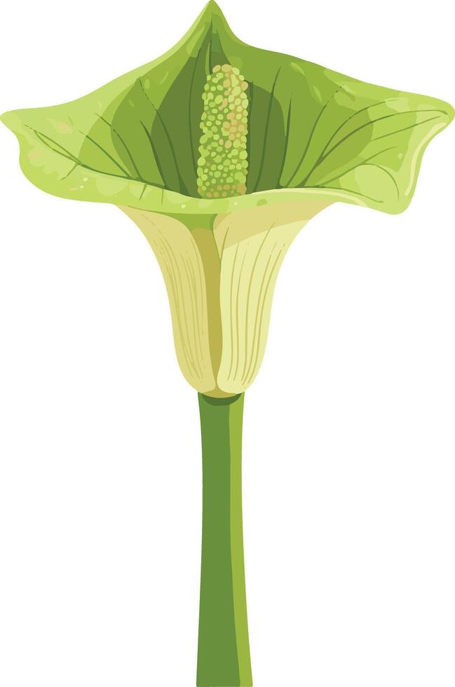 adorable cute simple corpse flower clipart vector