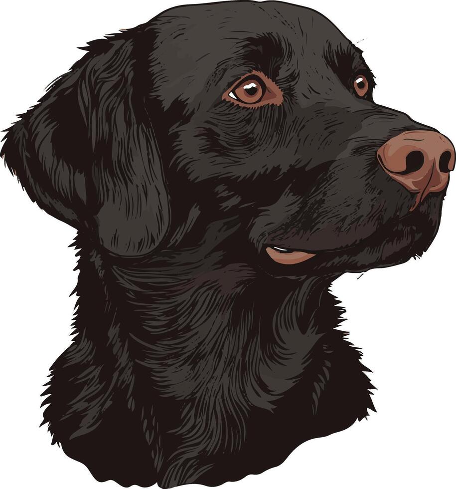 cute simple Curly Coated Retriever clipart vector