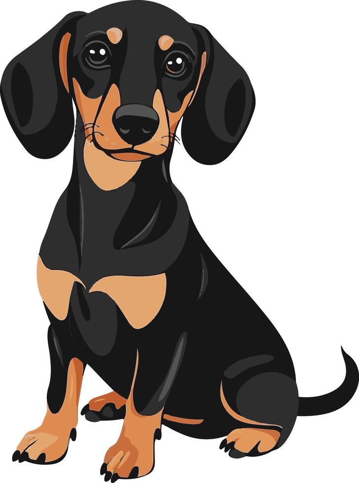cute simple Dachshund clipart vector
