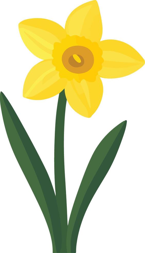 sweet cute simple daffodil clipart vector