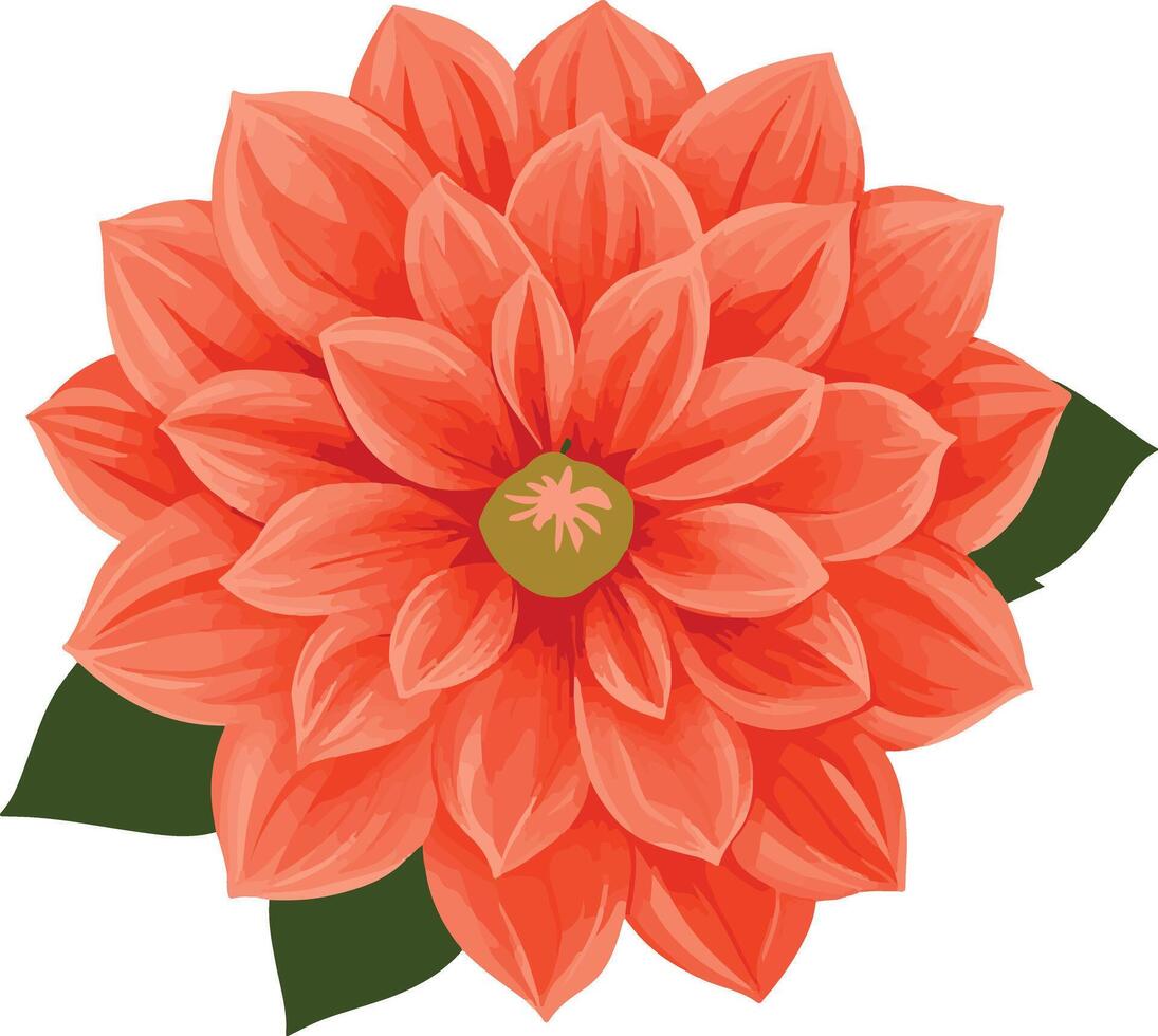 cute simple dahlia clipart vector
