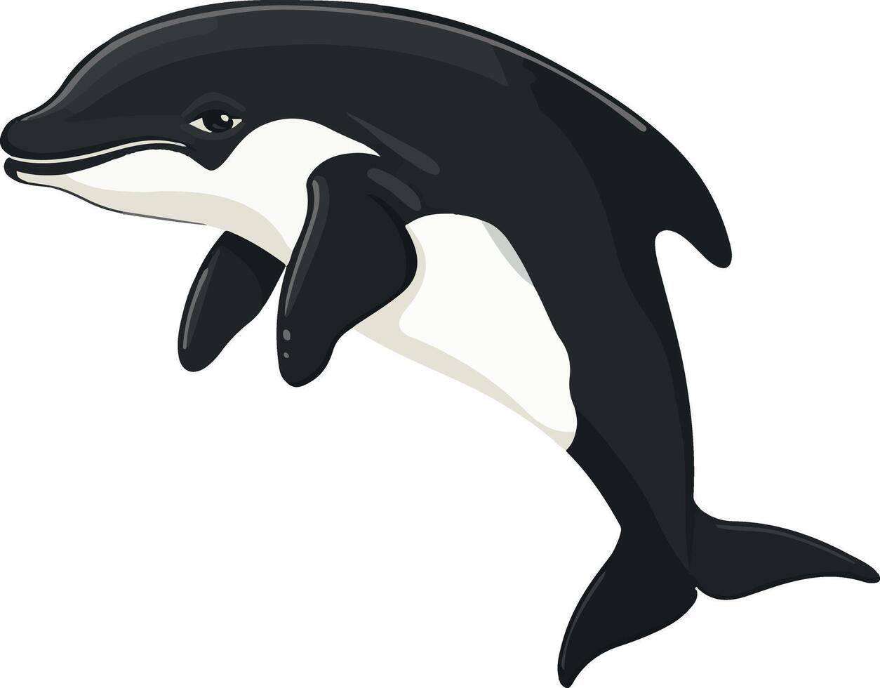 cute simple Dalls porpoise clipart vector