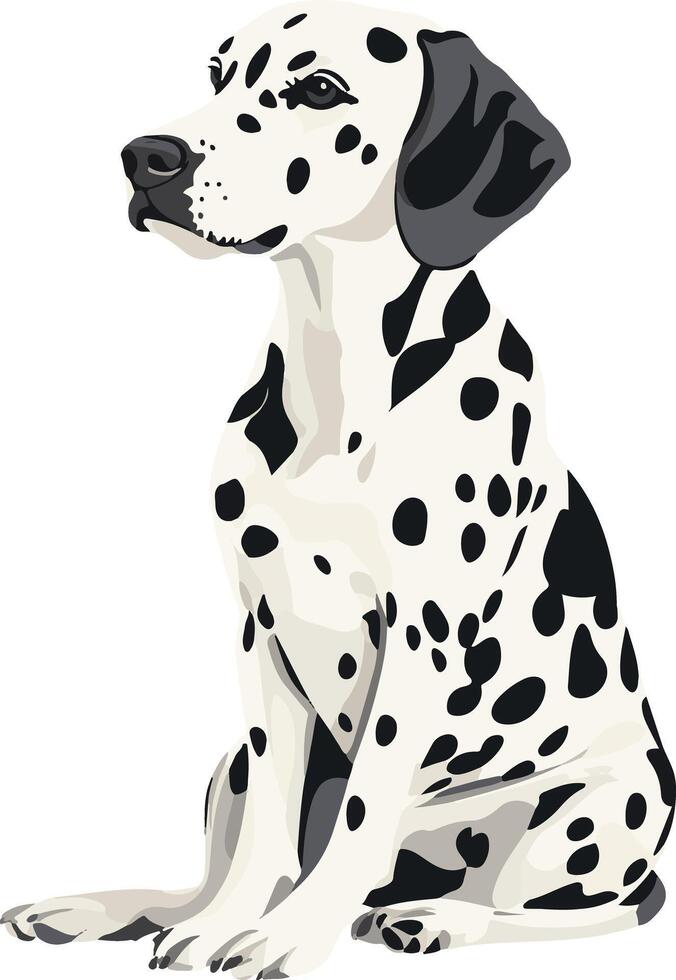 cute simple Dalmatian clipart vector