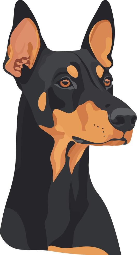 cute simple Doberman Pinscher clipart vector