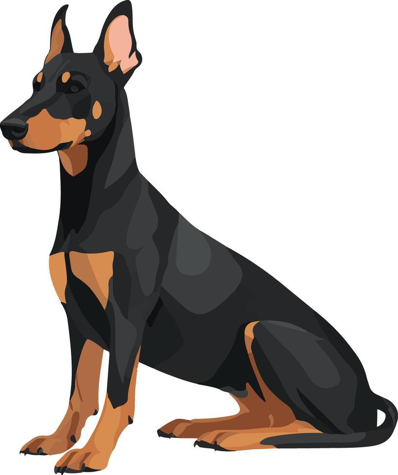 sweet cute simple Doberman Pinscher clipart vector