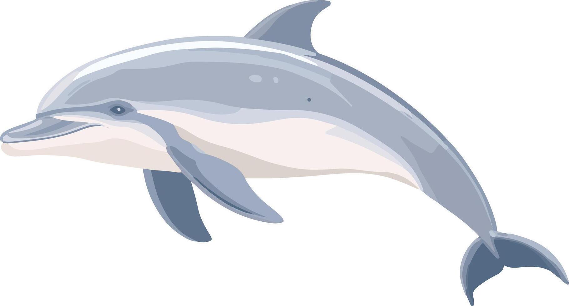lovely cute simple dolphin bottlenose clipart vector