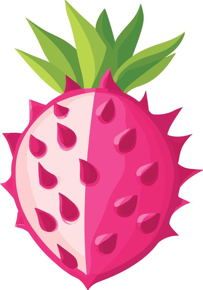 cute simple dragon fruit clipart vector