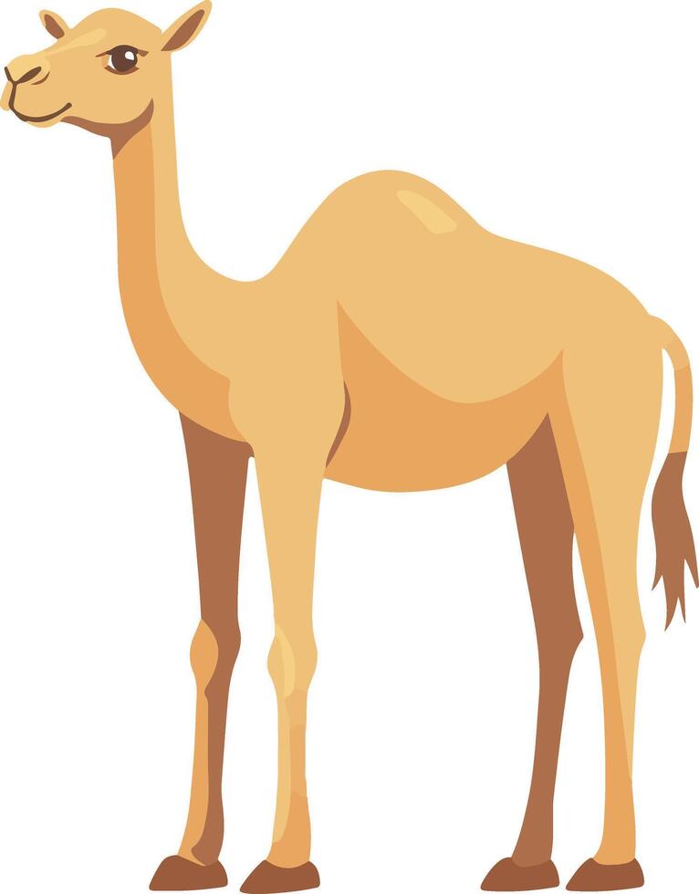cute simple dromedary clipart vector