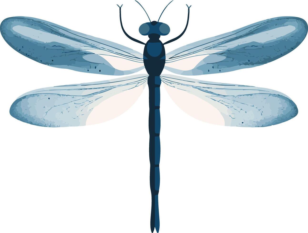 sweet cute simple dragonfly clipart vector