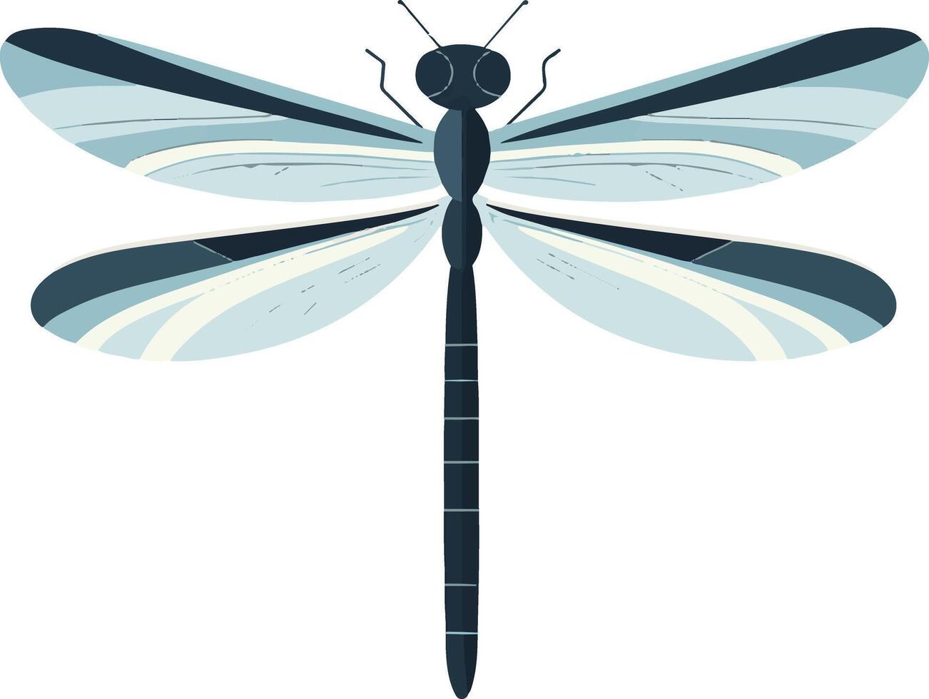 lovely cute simple dragonfly clipart vector