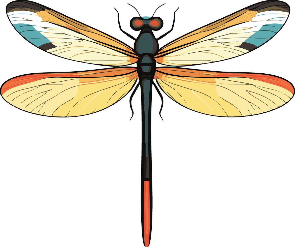 adorable cute simple dragonfly clipart vector