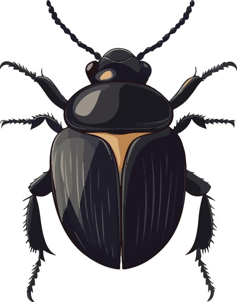 sweet cute simple dung beetle clipart vector