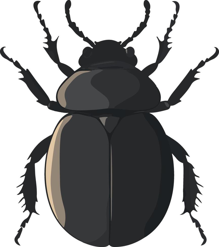 adorable cute simple dung beetle clipart vector