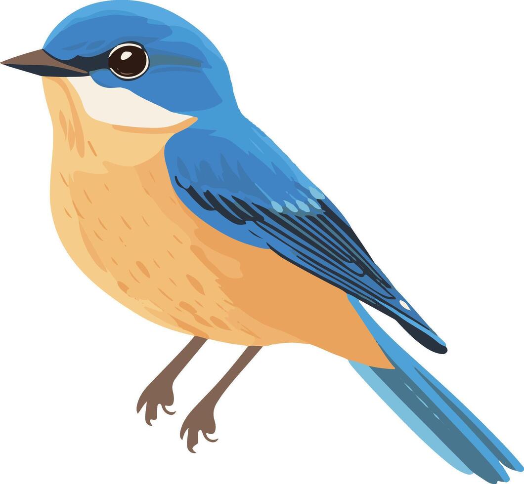 adorable cute simple eastern bluebird clipart vector