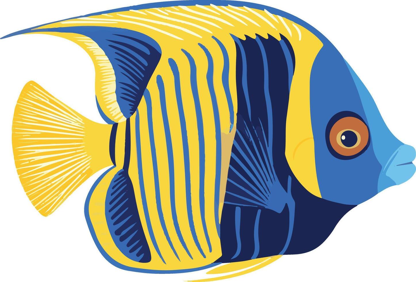 adorable cute simple emperor angelfish clipart vector