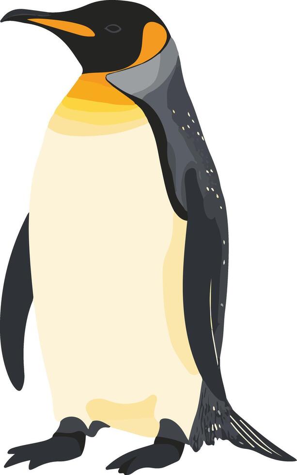 cute simple emperor penguin clipart vector