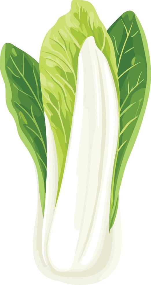 adorable cute simple endive clipart vector
