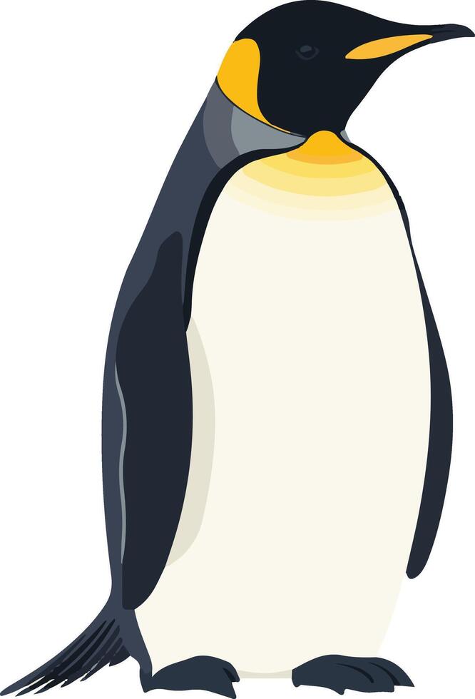 adorable cute simple emperor penguin clipart vector