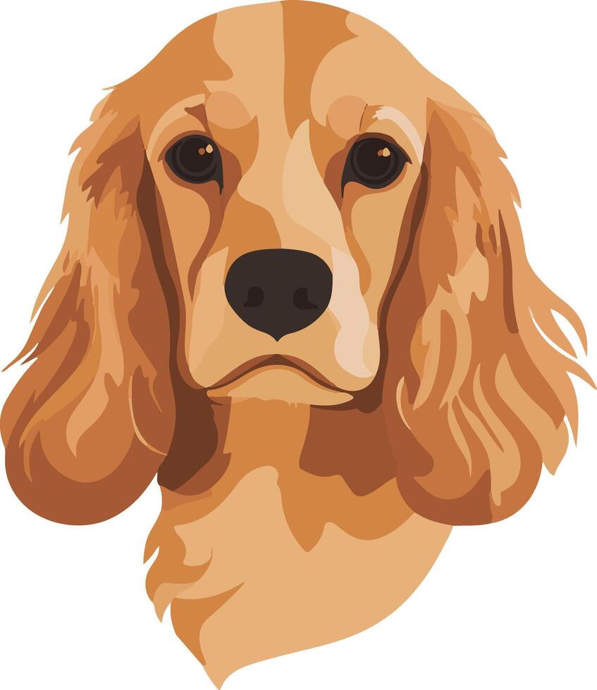 cute simple English Cocker Spaniel clipart vector