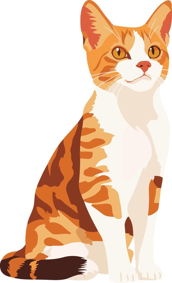 cute simple European Shorthair clipart vector