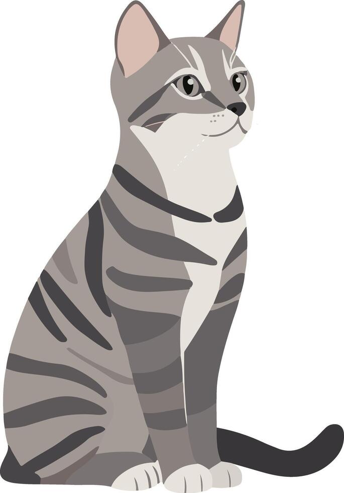 adorable cute simple European Shorthair clipart vector