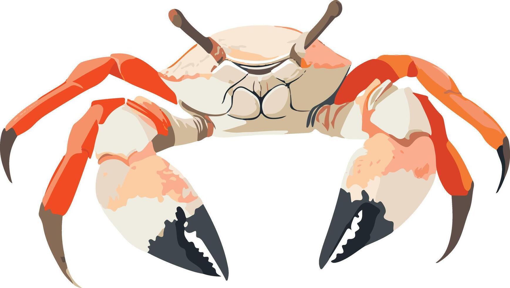 cute simple fiddler crab clipart vector