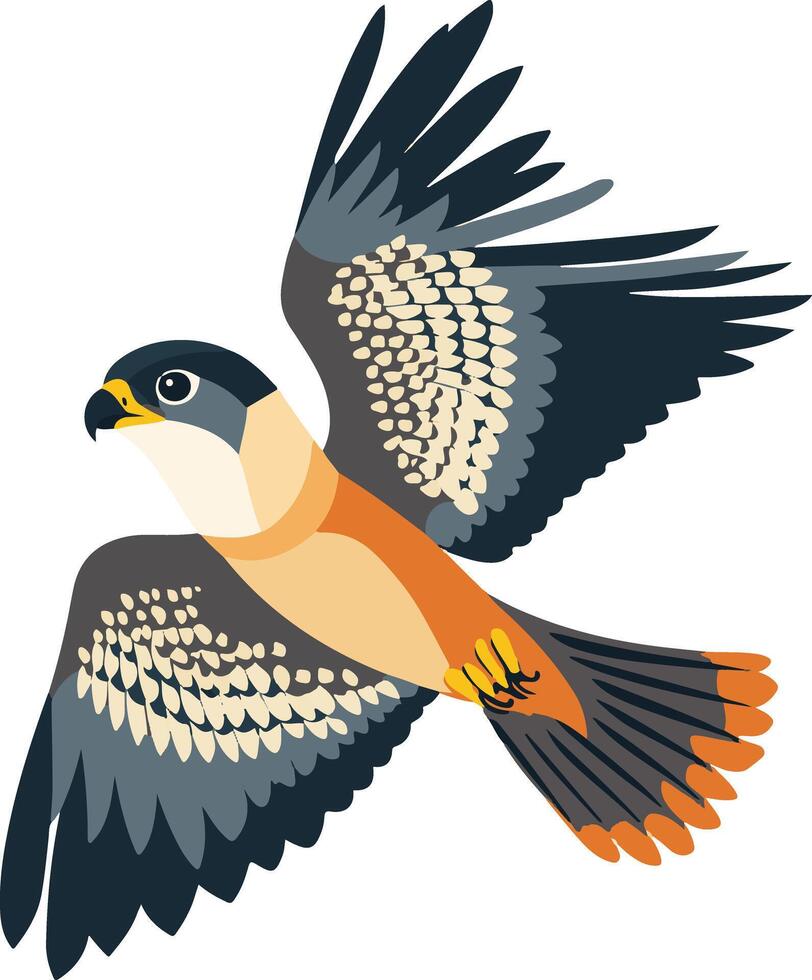 cute simple falcon clipart vector
