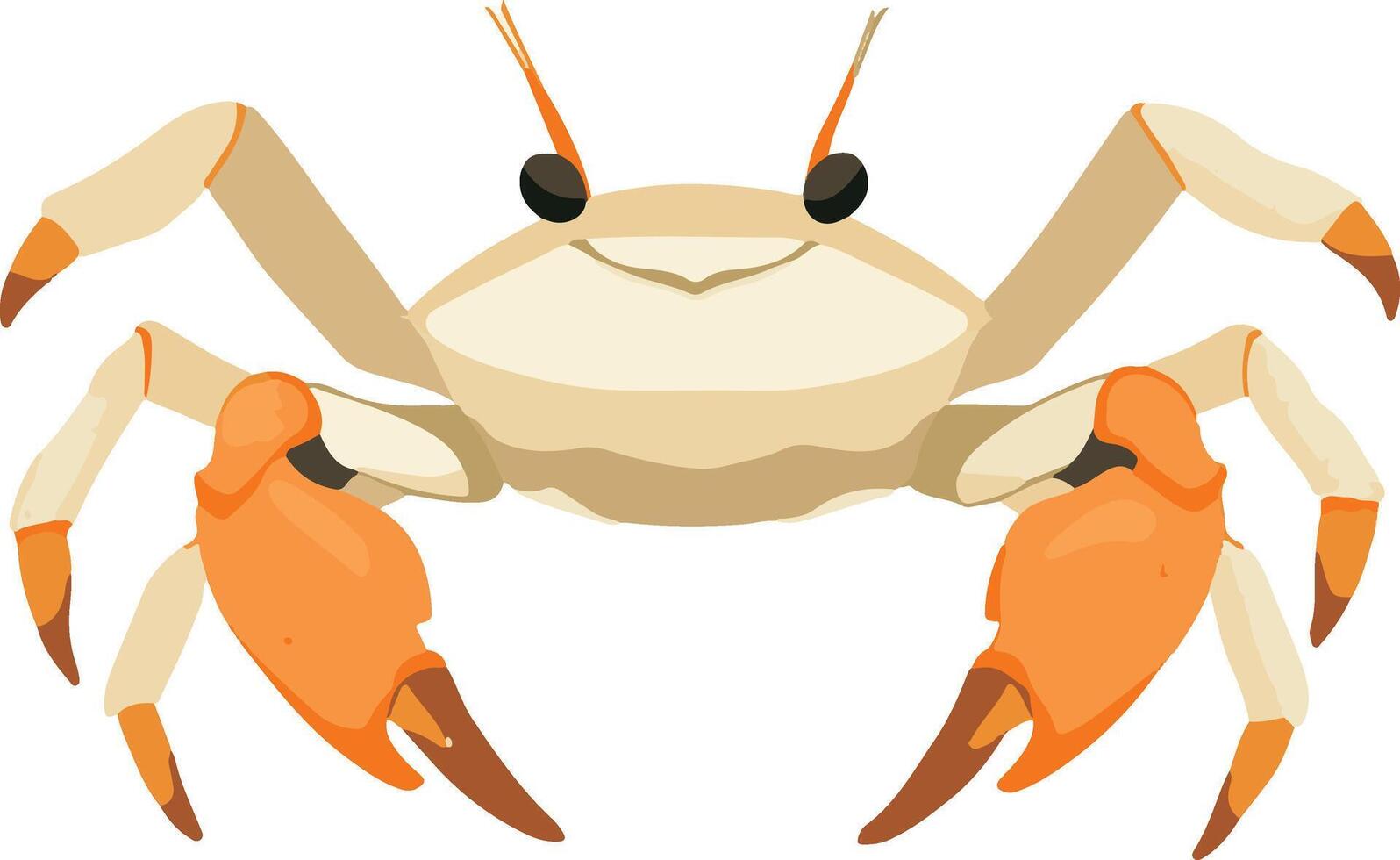 sweet cute simple fiddler crab clipart vector