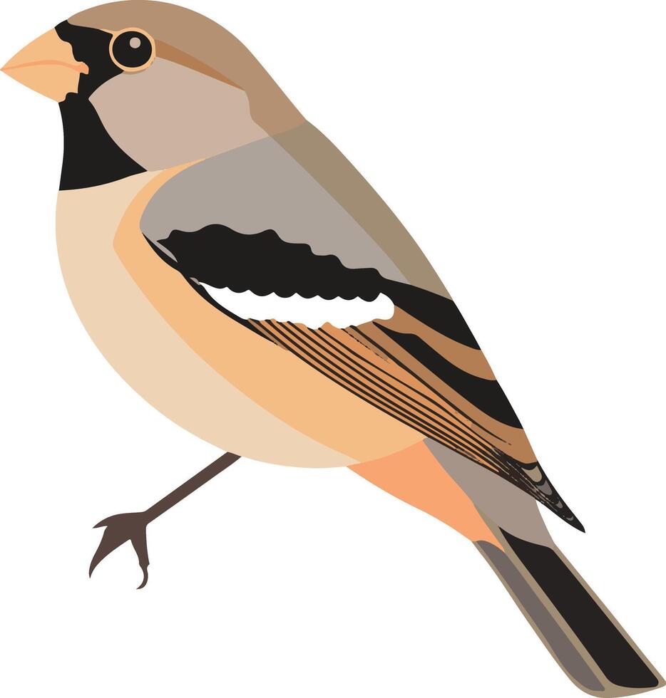 cute simple finch clipart vector