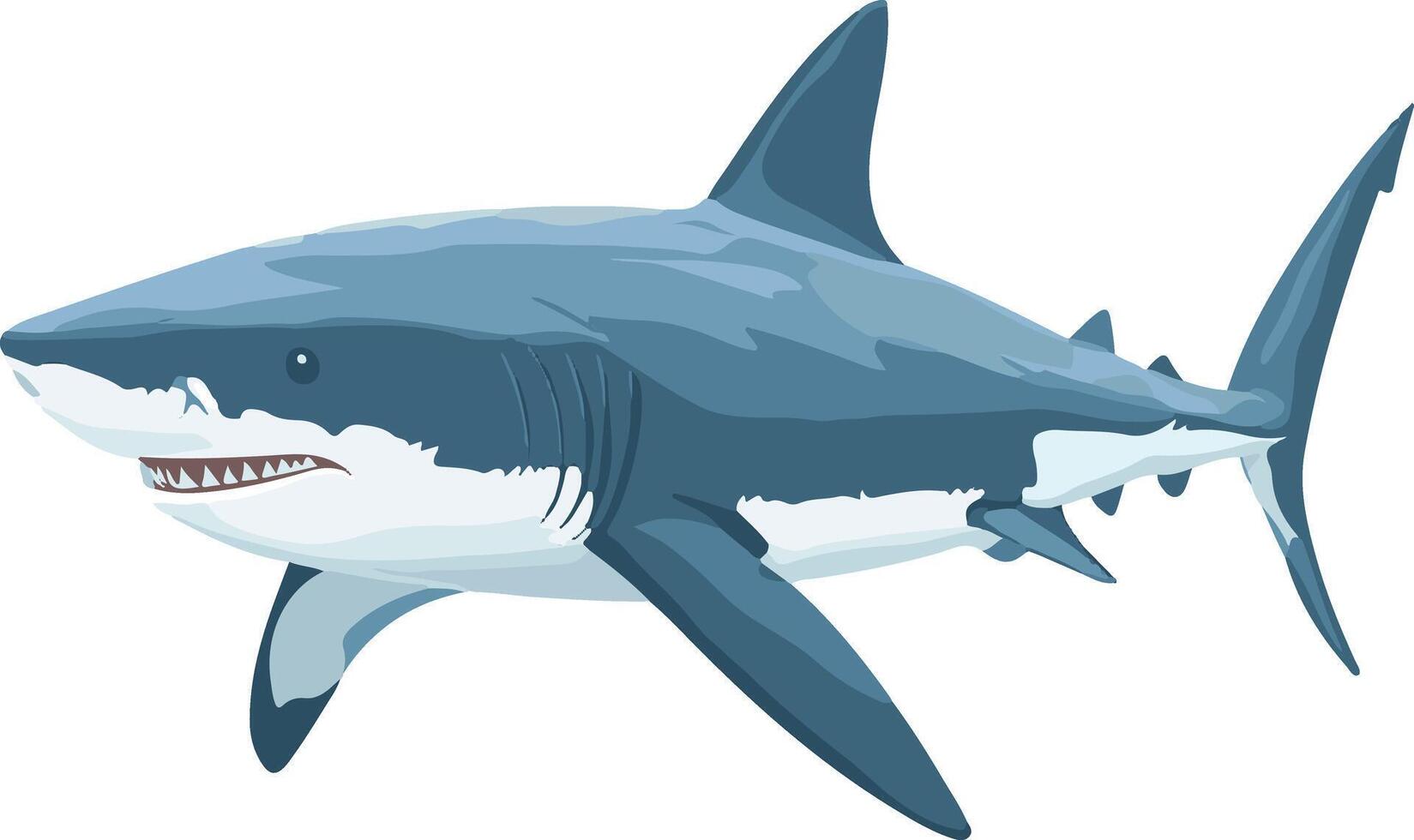 cute simple Galapagos shark clipart vector