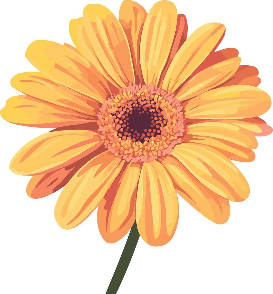 cute simple gerbera daisy clipart vector
