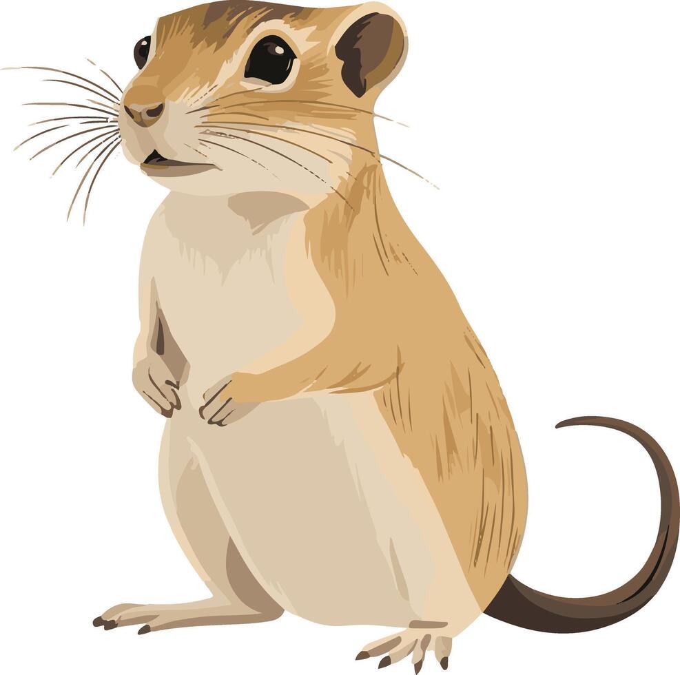 cute simple gerbil clipart vector