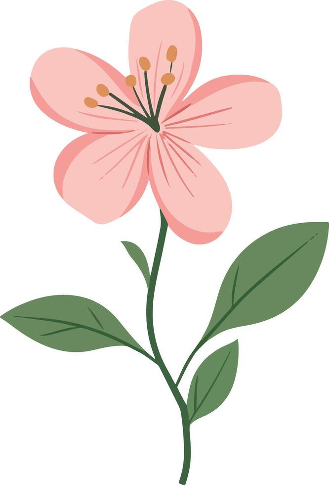 cute simple gillyflower clipart vector