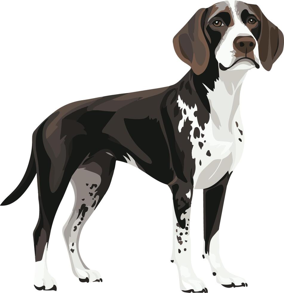 cute simple German Shorthaired Pointer clipart vector