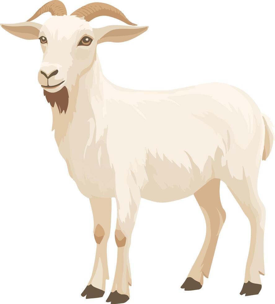 adorable cute simple goat clipart vector