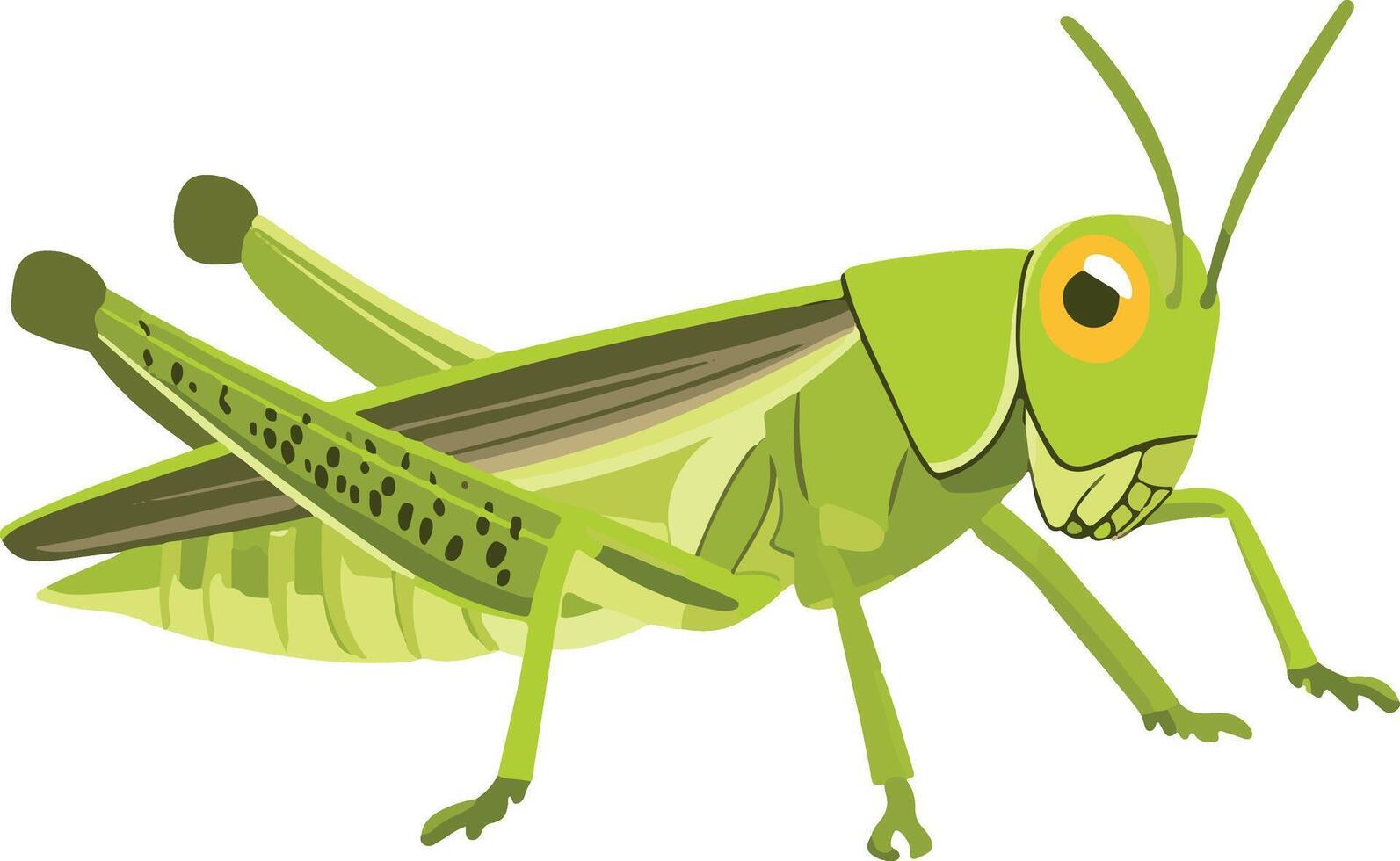 cute simple grasshopper clipart vector