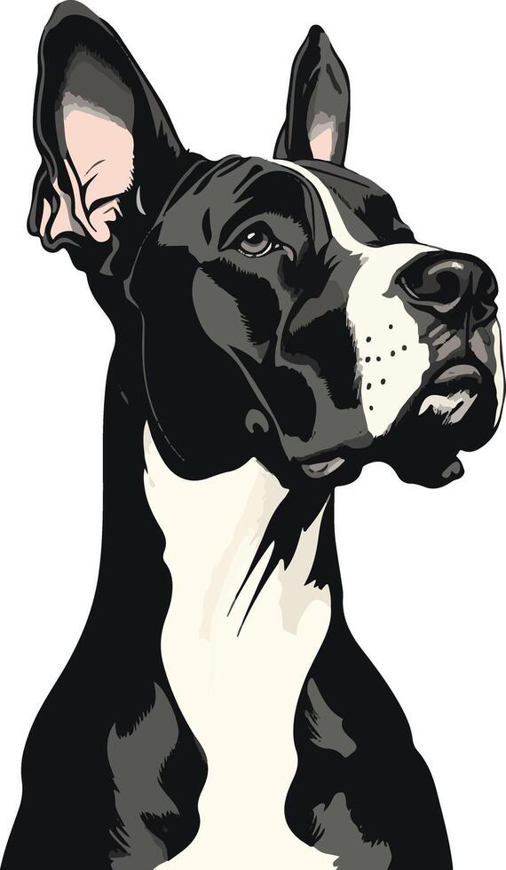 cute simple great Dane clipart vector