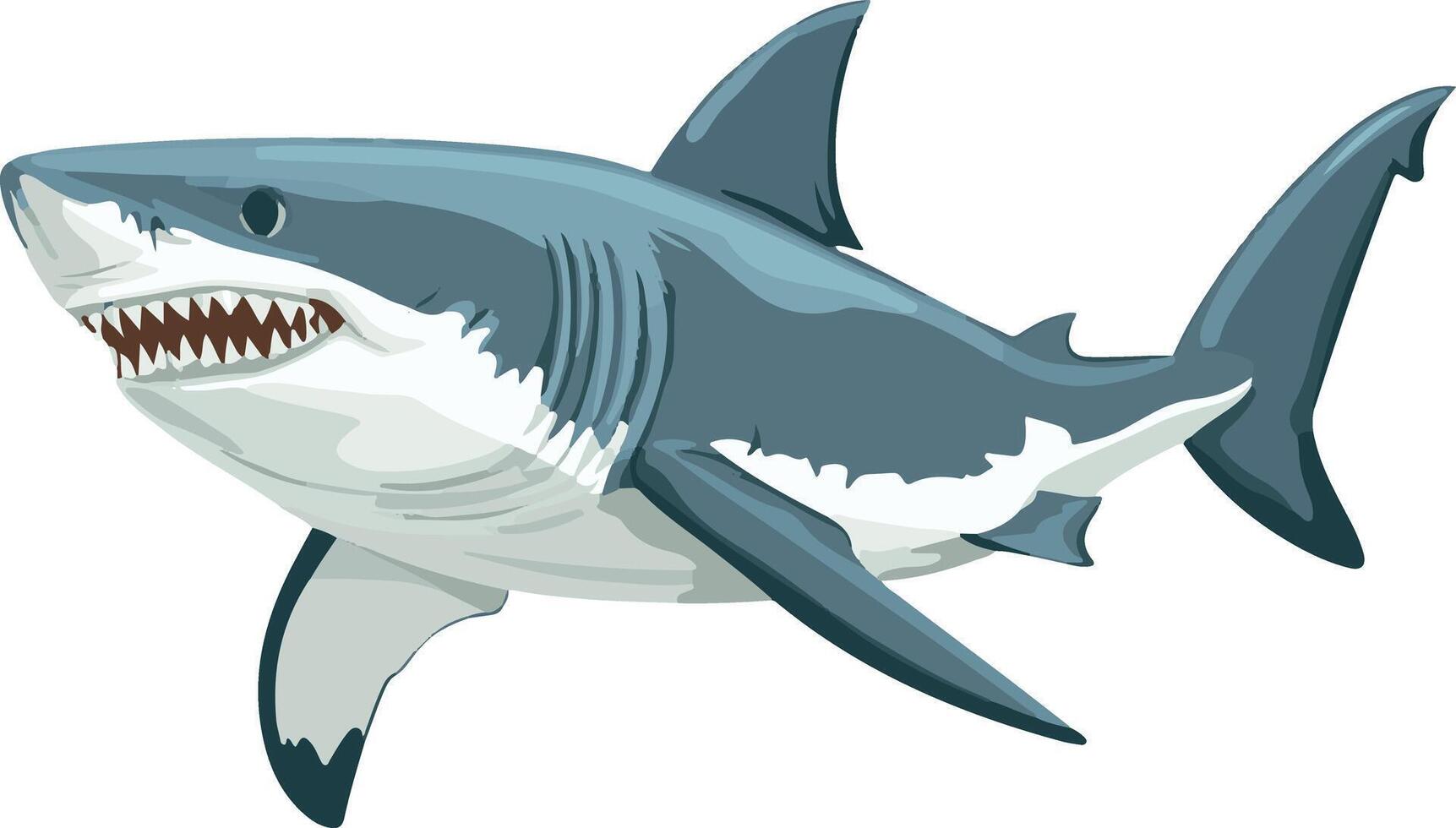 cute simple great white shark clipart vector
