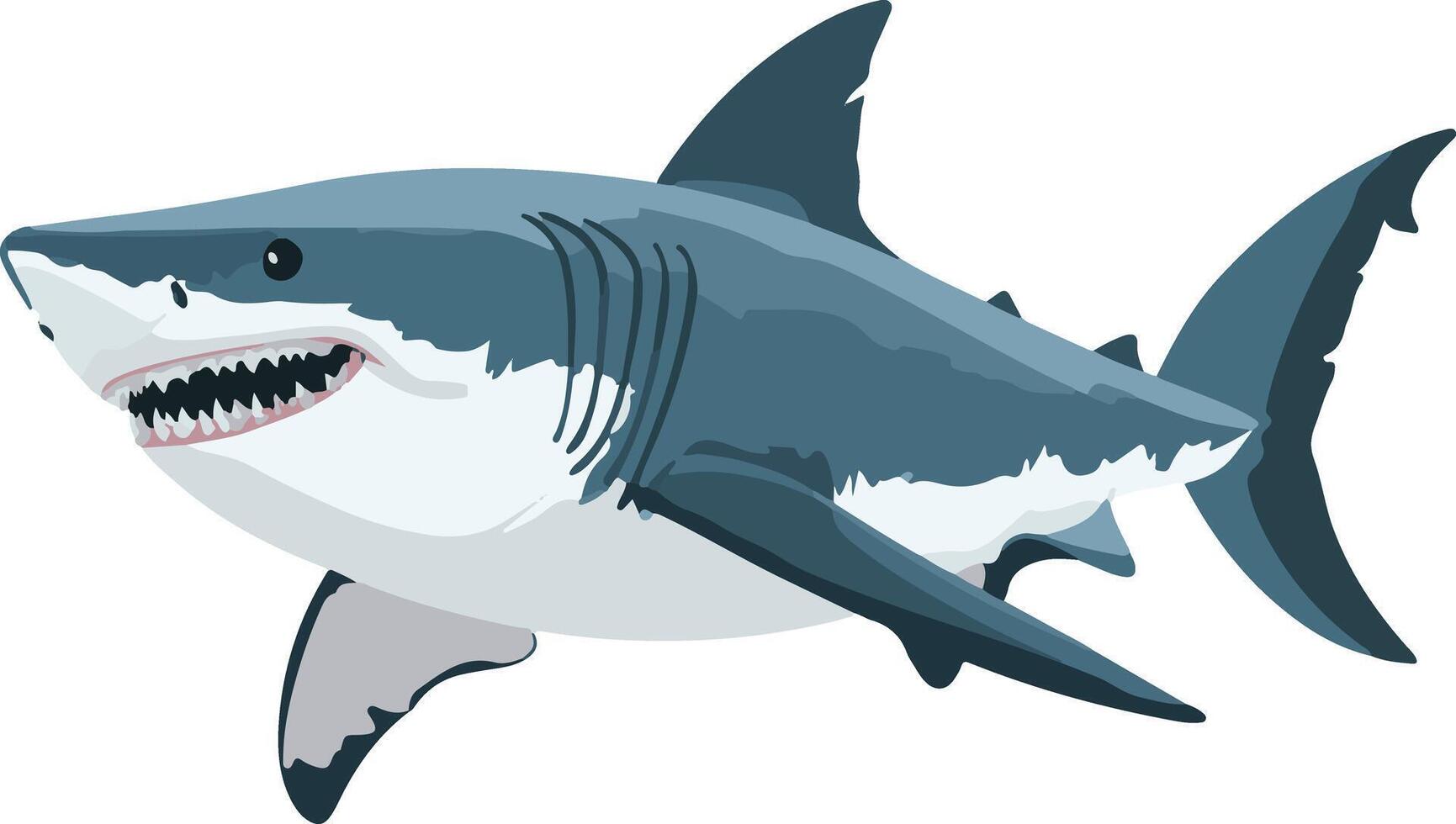 adorable cute simple great white shark clipart vector