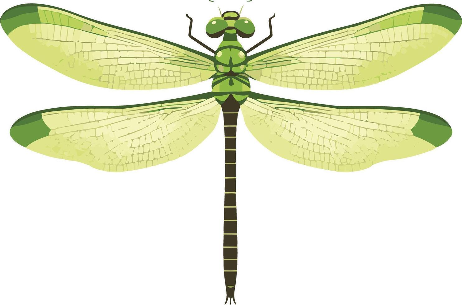 adorable cute simple green darner dragonfly clipart vector