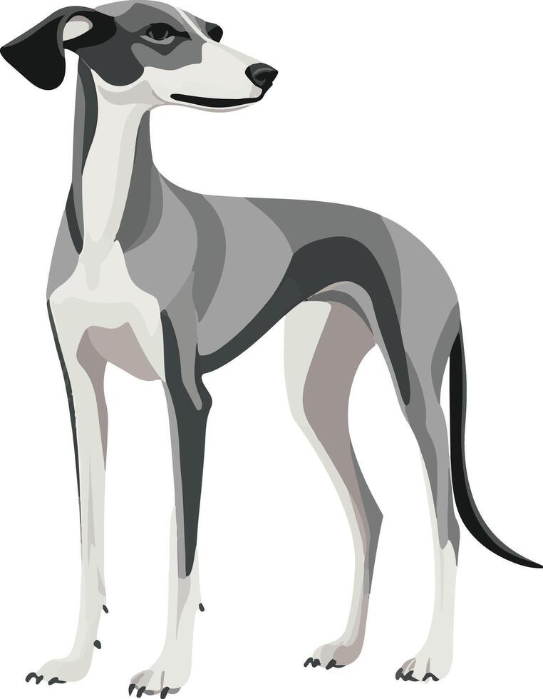 cute simple Greyhound clipart vector