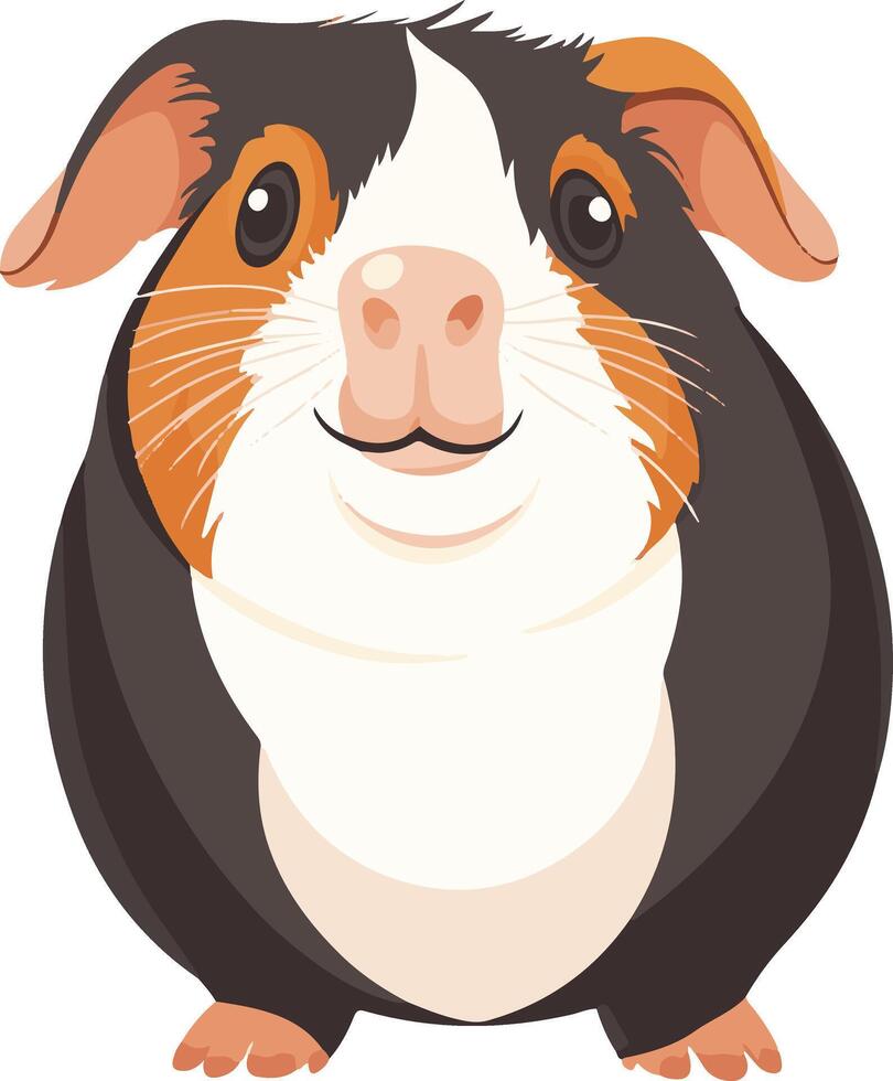 cute simple guinea pig clipart vector