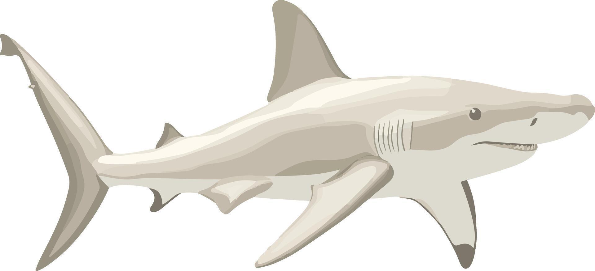 lovely cute simple hammerhead shark clipart vector