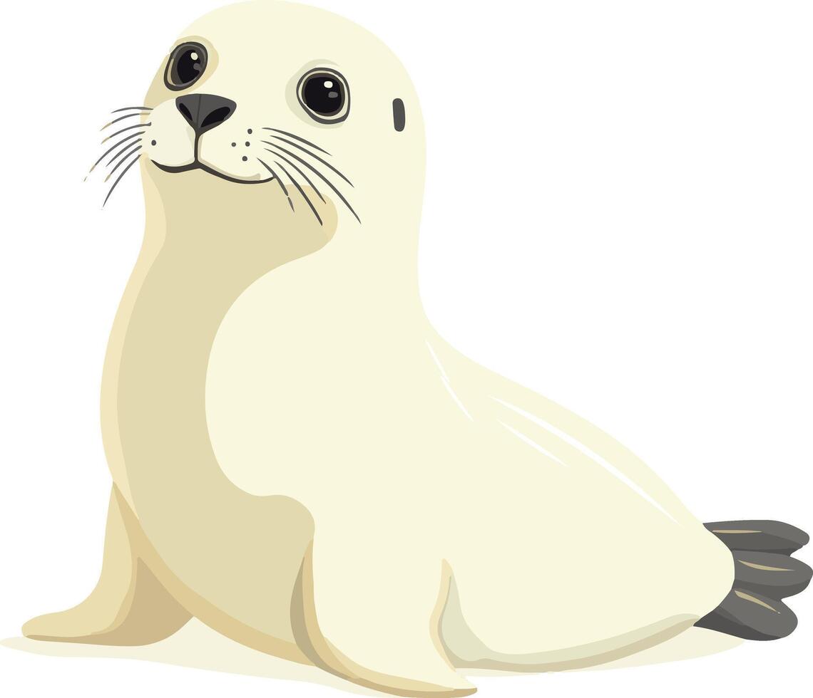 cute simple harp seal clipart vector