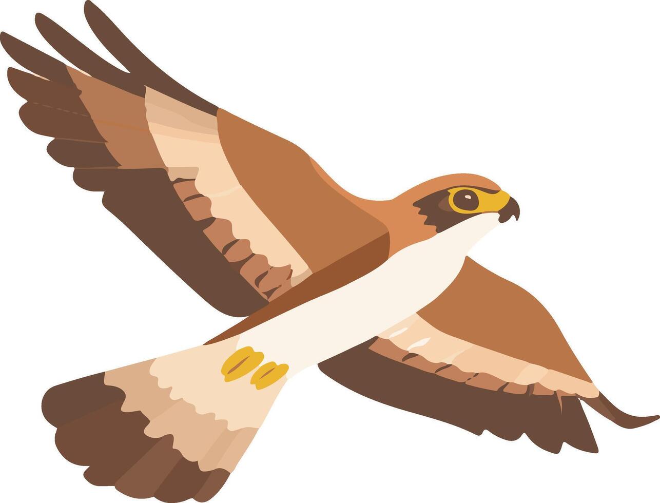 adorable cute simple Harrier clipart vector