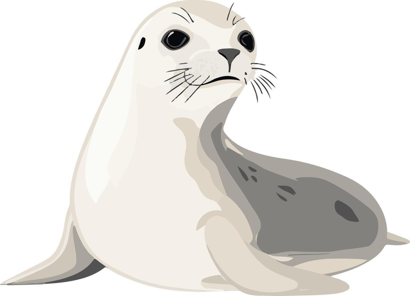 adorable cute simple harp seal clipart vector