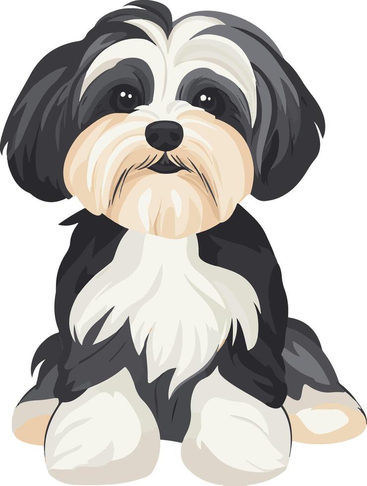 adorable cute simple Havanese clipart vector